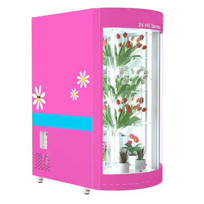 自己サービスWinnsenの花の自動販売機冷凍および加湿器との18.5インチ