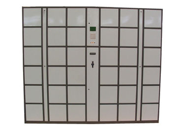 セリウム 36 のドアの大型の鋼鉄手荷物用ロッカー、LCD スクリーンが付いているパスワード電子オフィスのロッカー箱