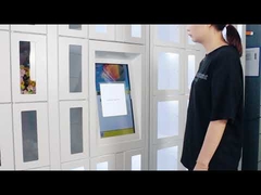 冷凍の花の販売のロッカー機械新しい乾燥した18.5インチ